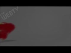 WANSHIDA 소개 및 유압 재활용 기계
